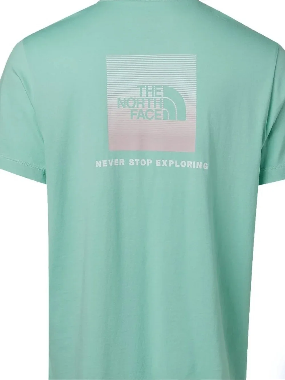 The North Face Evolution Horizon S/S T-Shirt- Bright Foam
